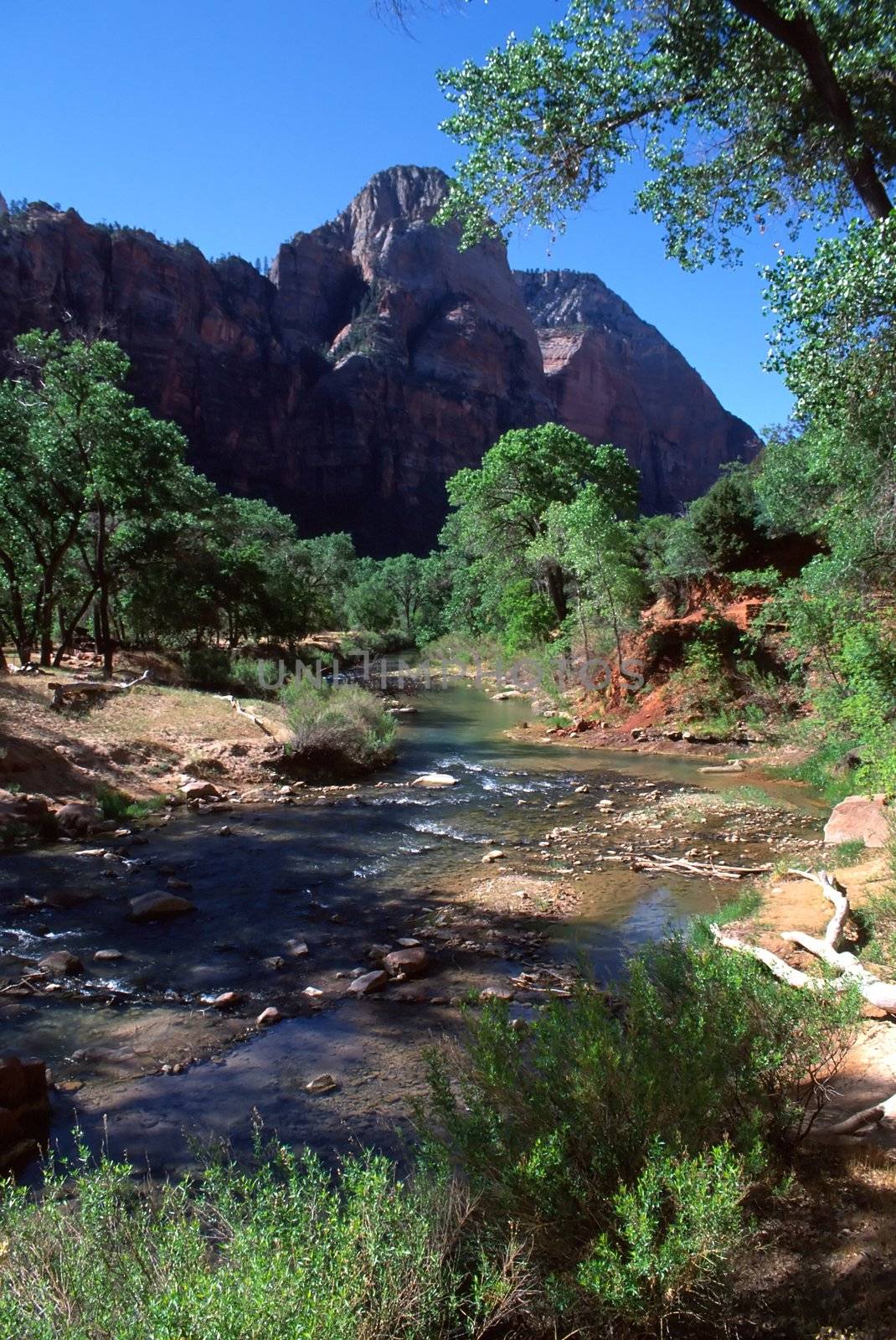 Zion National Park is a United States National Park located in the Southwestern United States, near Springdale, Utah.