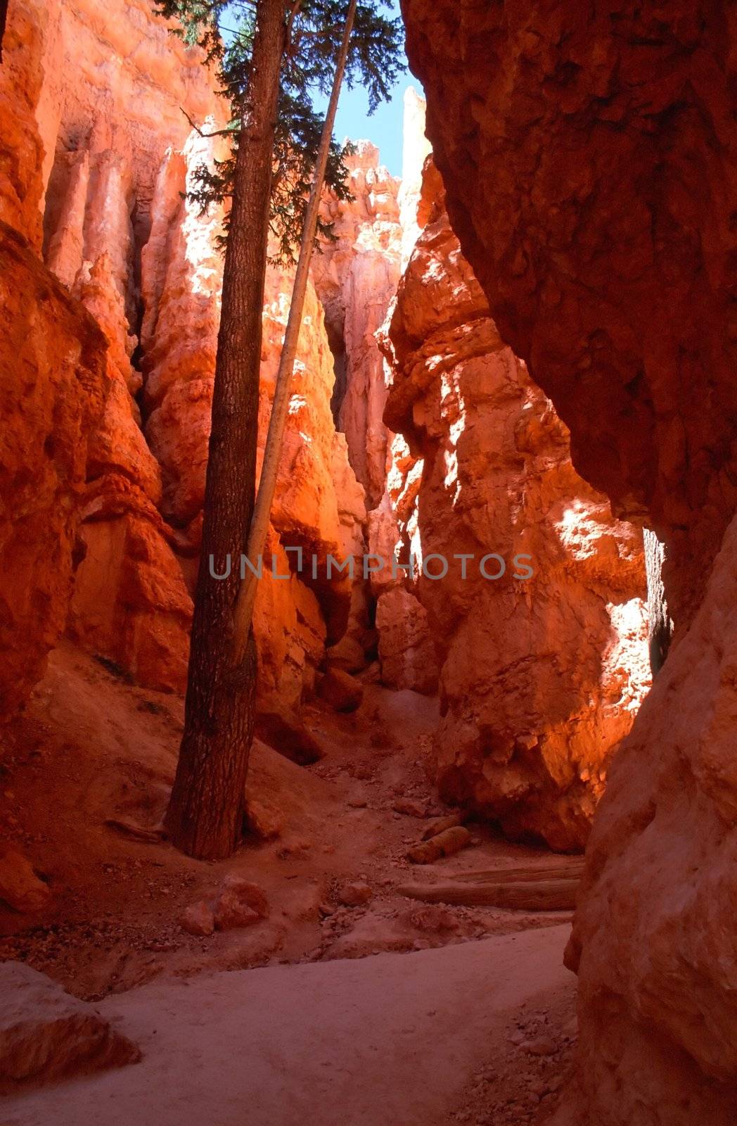 Bryce Canyon National Park is a national park located in southwestern Utah in the United States.