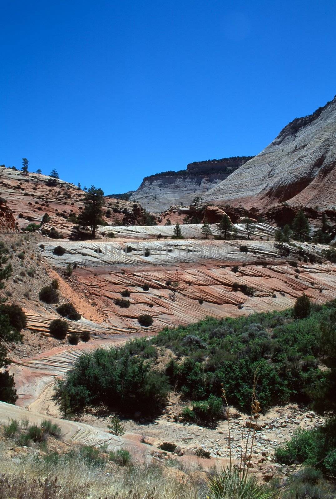 Zion National Park is a United States National Park located in the Southwestern United States, near Springdale, Utah.