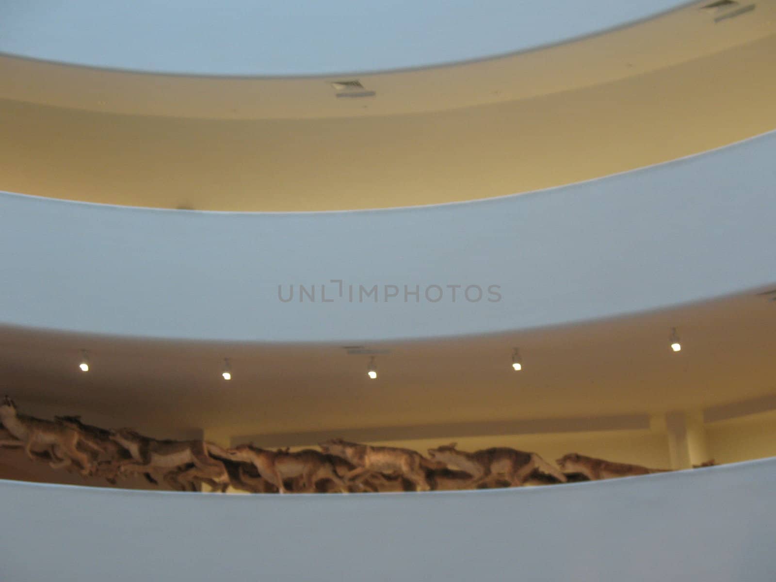 Art Display at the Guggenheim New York