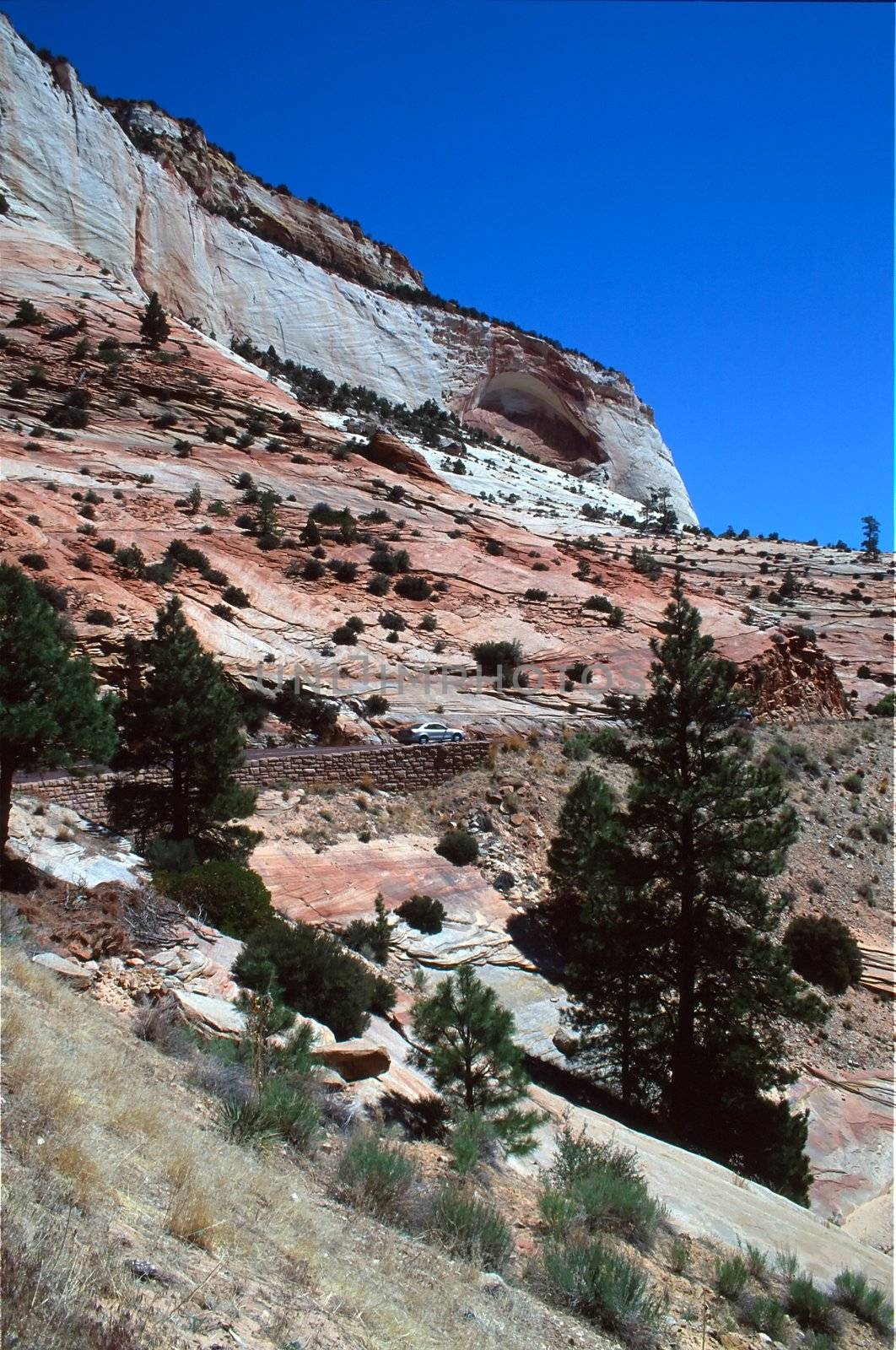 Zion National Park by melastmohican