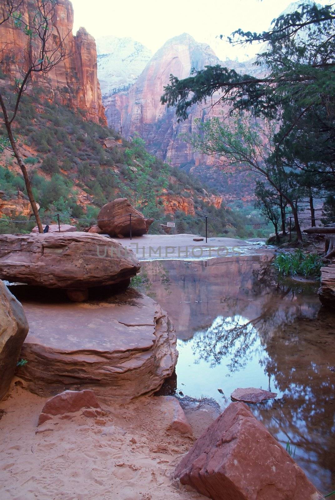 Zion National Park is a United States National Park located in the Southwestern United States, near Springdale, Utah.