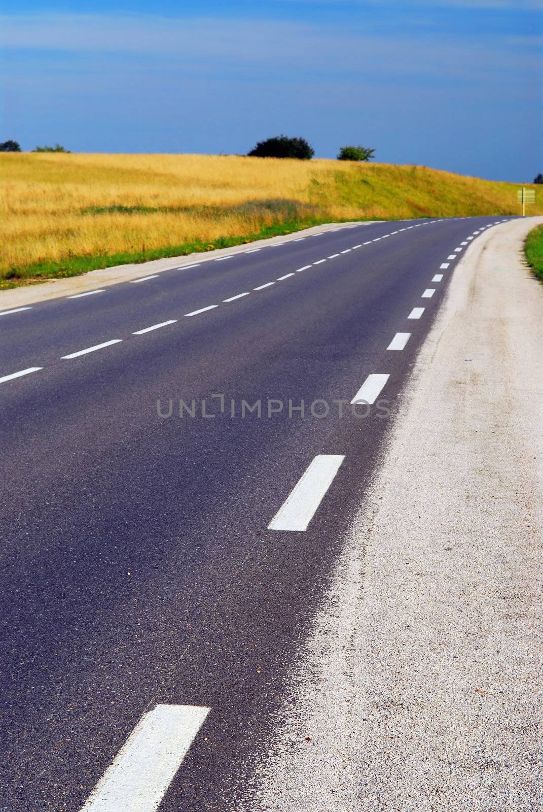 Empty road by elenathewise