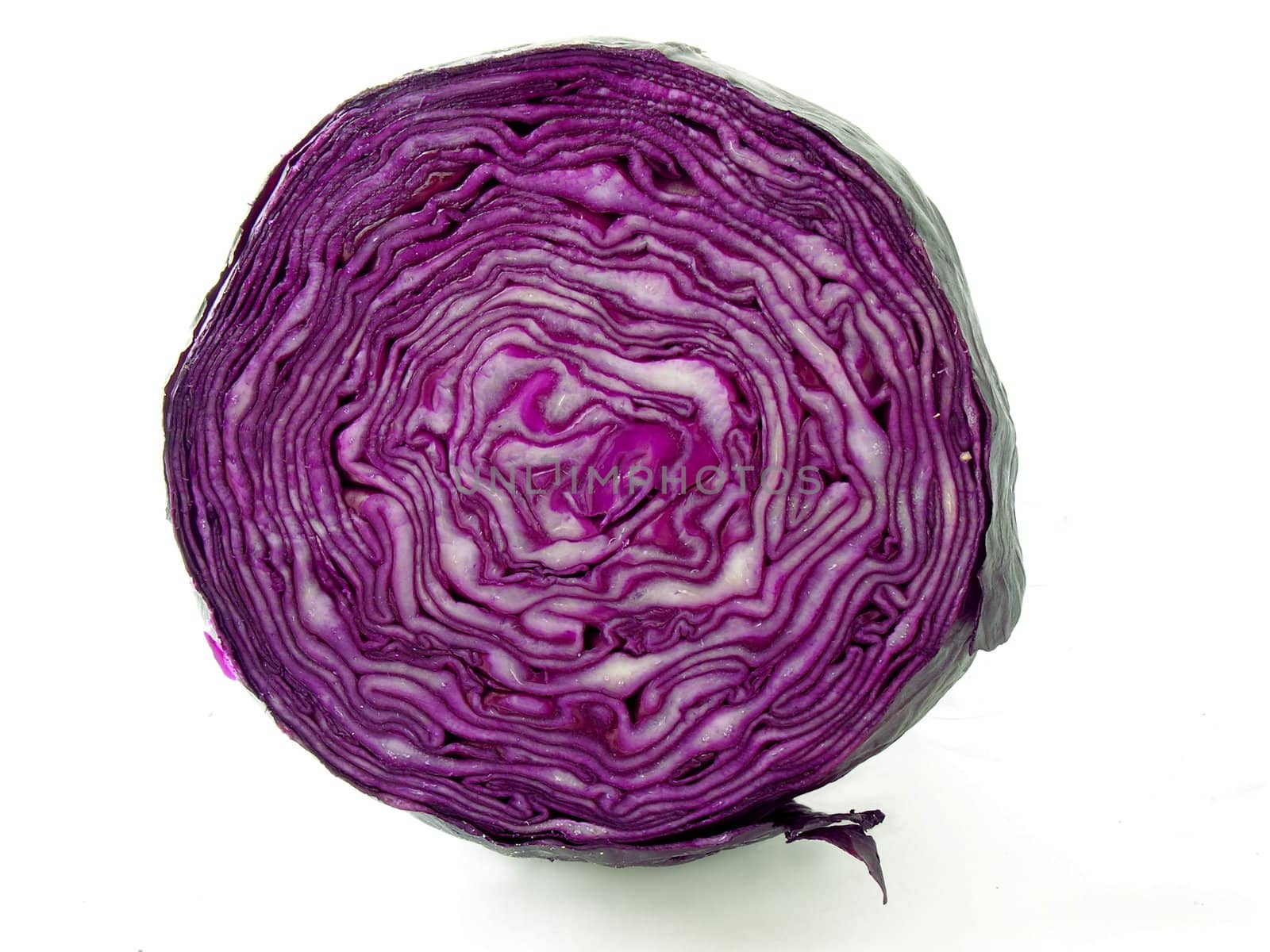 the cu red cabbage by RAIMA