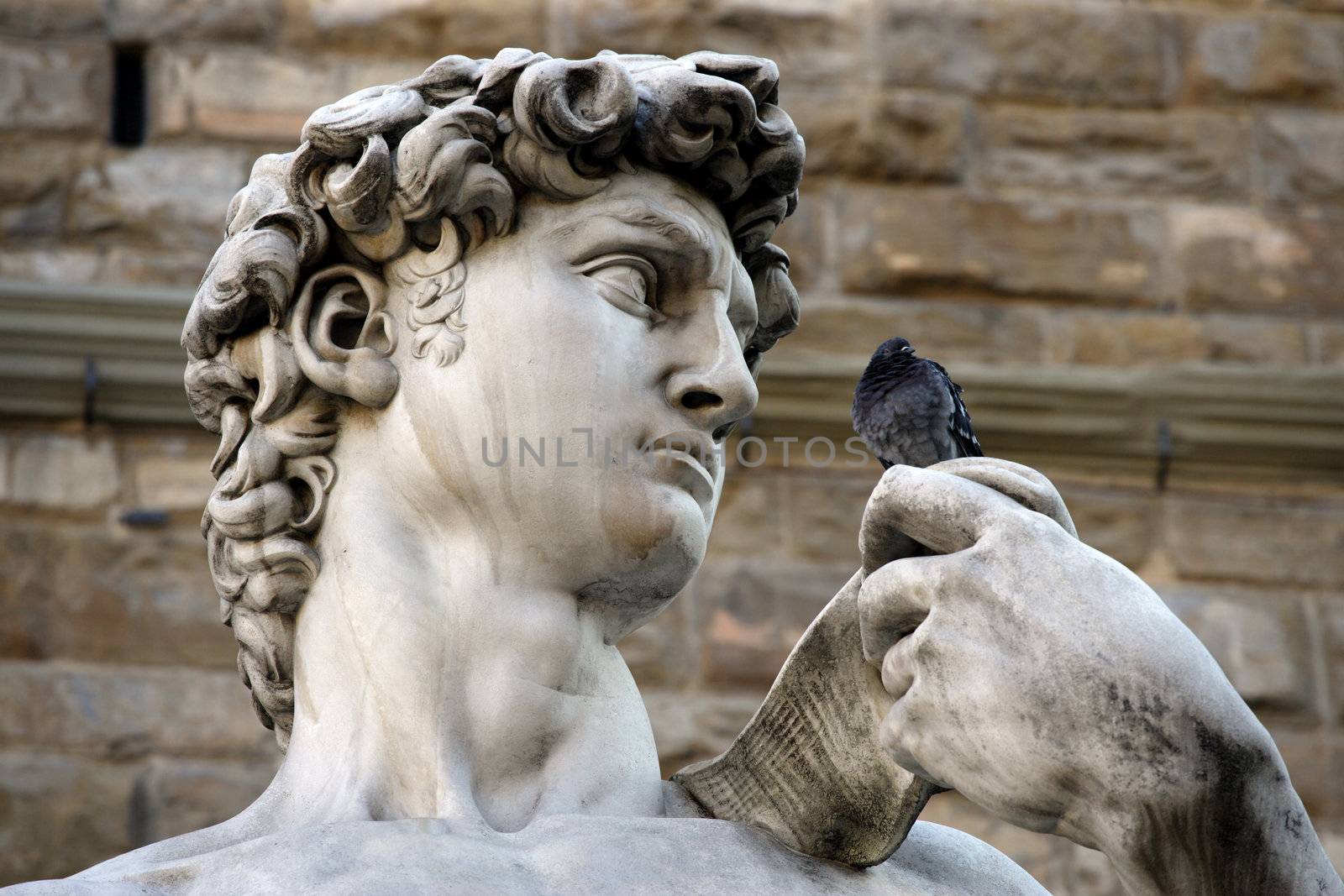 Michelangelo's replica David statue having a conversation with a pigeon.
