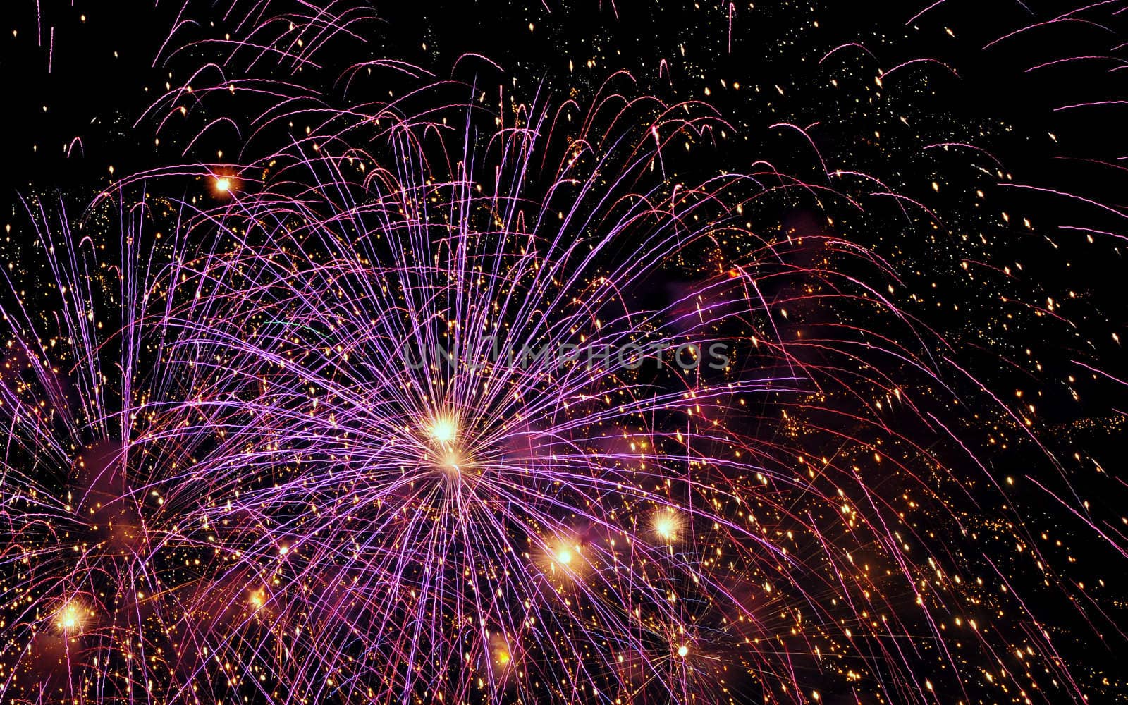 Colorful fireworks exploding in the sky