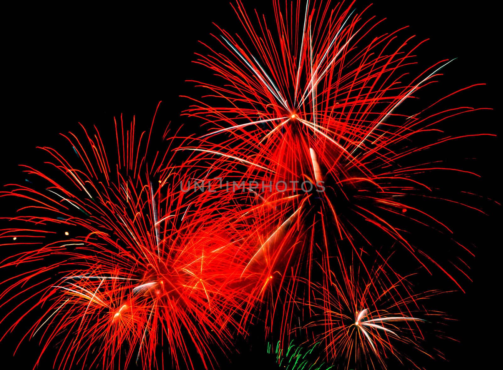 Colorful fireworks exploding in the sky