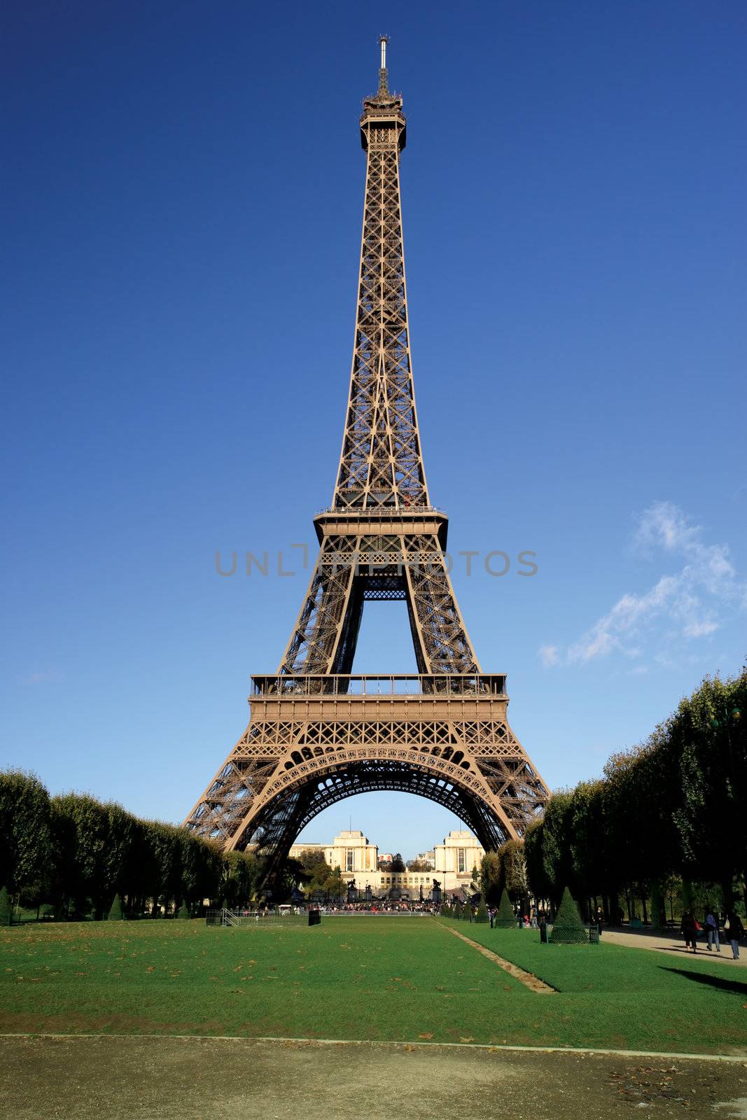 Eiffel Tower postcard by sumners