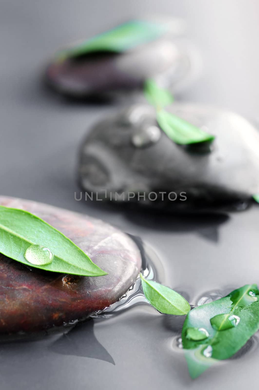 Stones submerged in water with green leaves and water drops