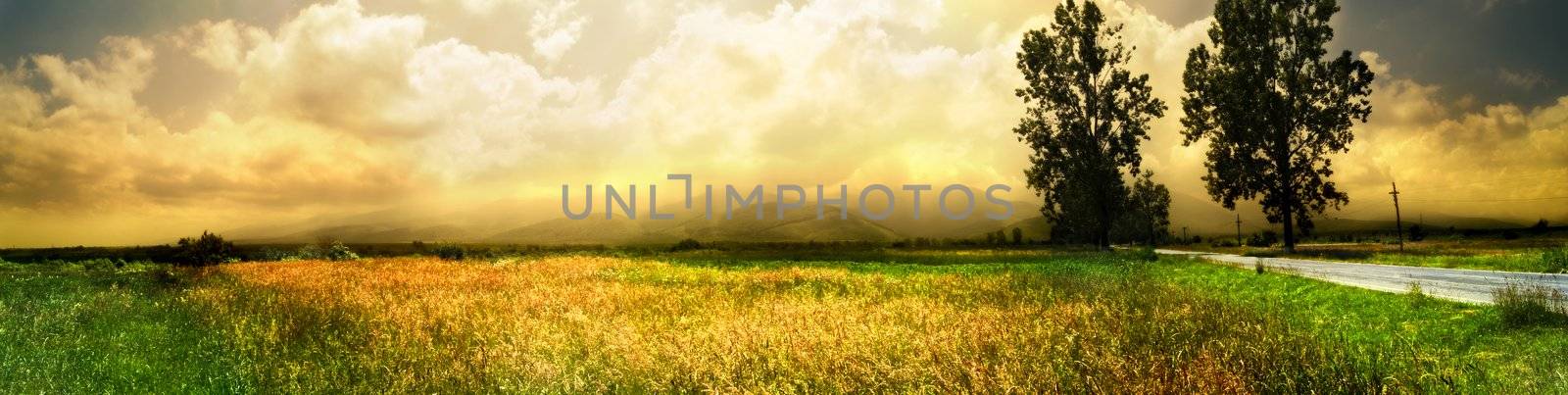 wide landscape with road in a summer day