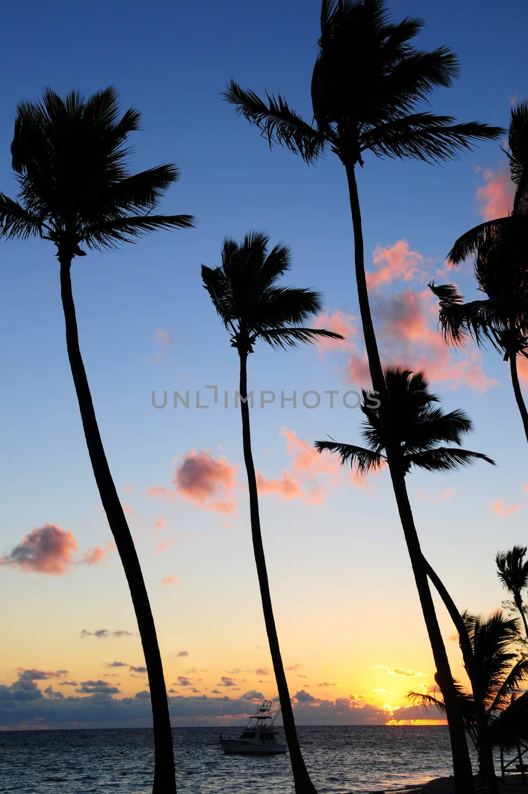 Palm trees silhouettes at sunrise at tropical resort