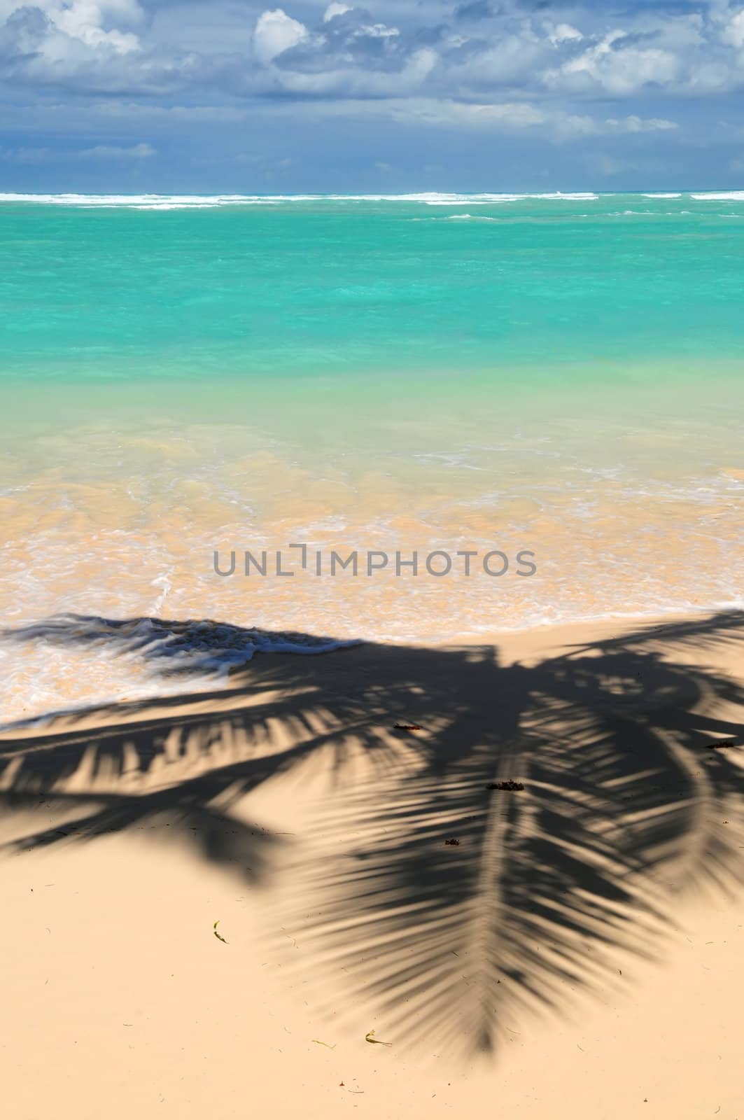Pristine tropical beach with palm trees shadows on Caribbean island. Colors are natural.