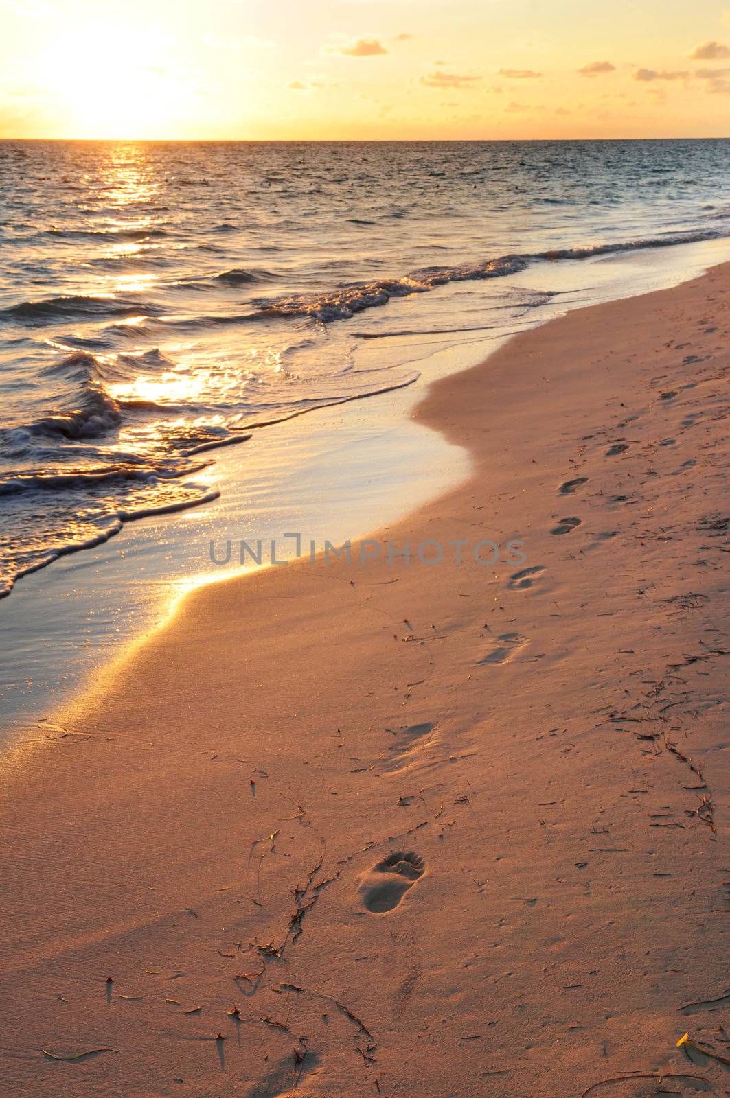 Footprints on sandy beach at sunrise by elenathewise