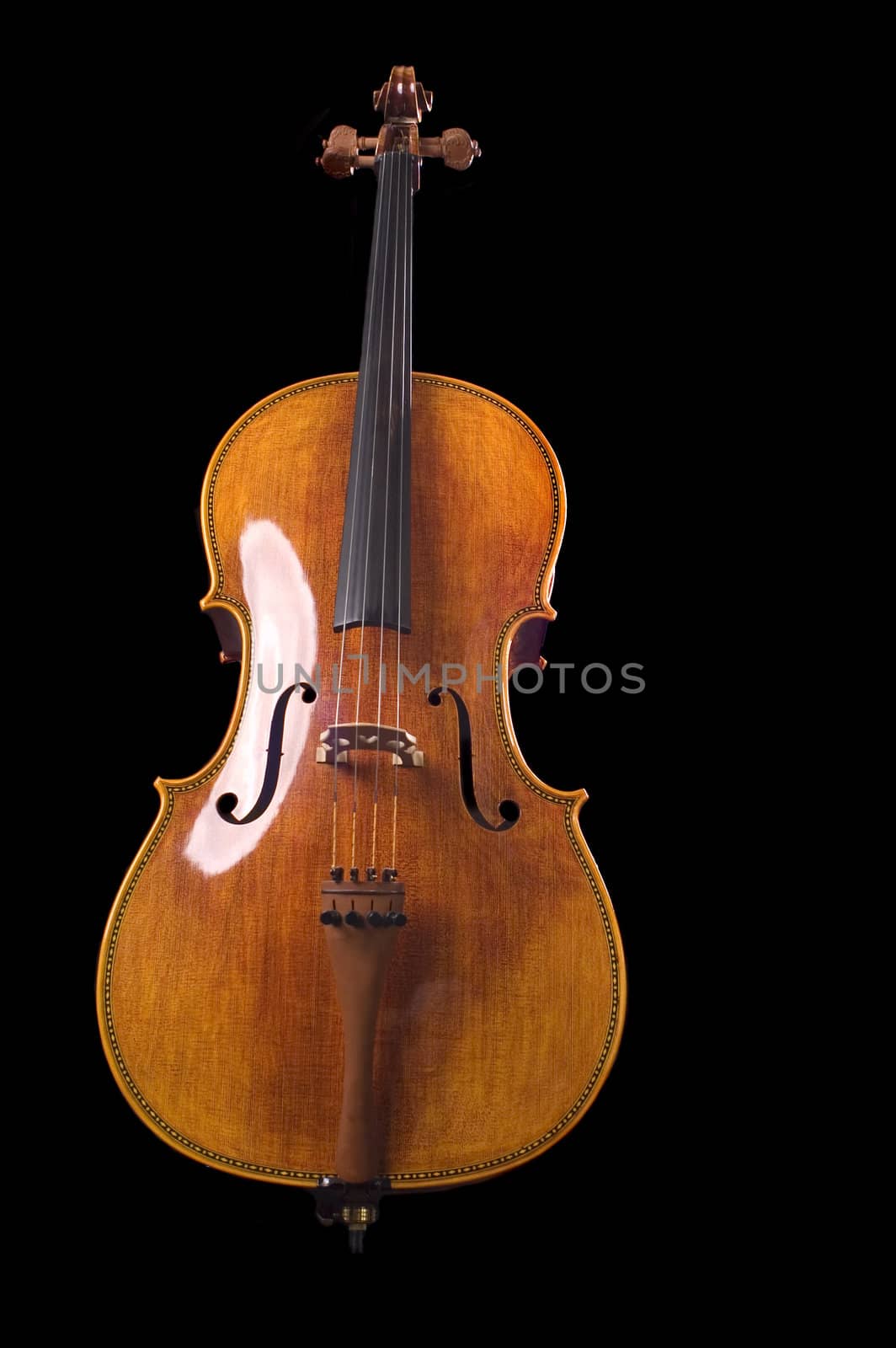 cello on a black background