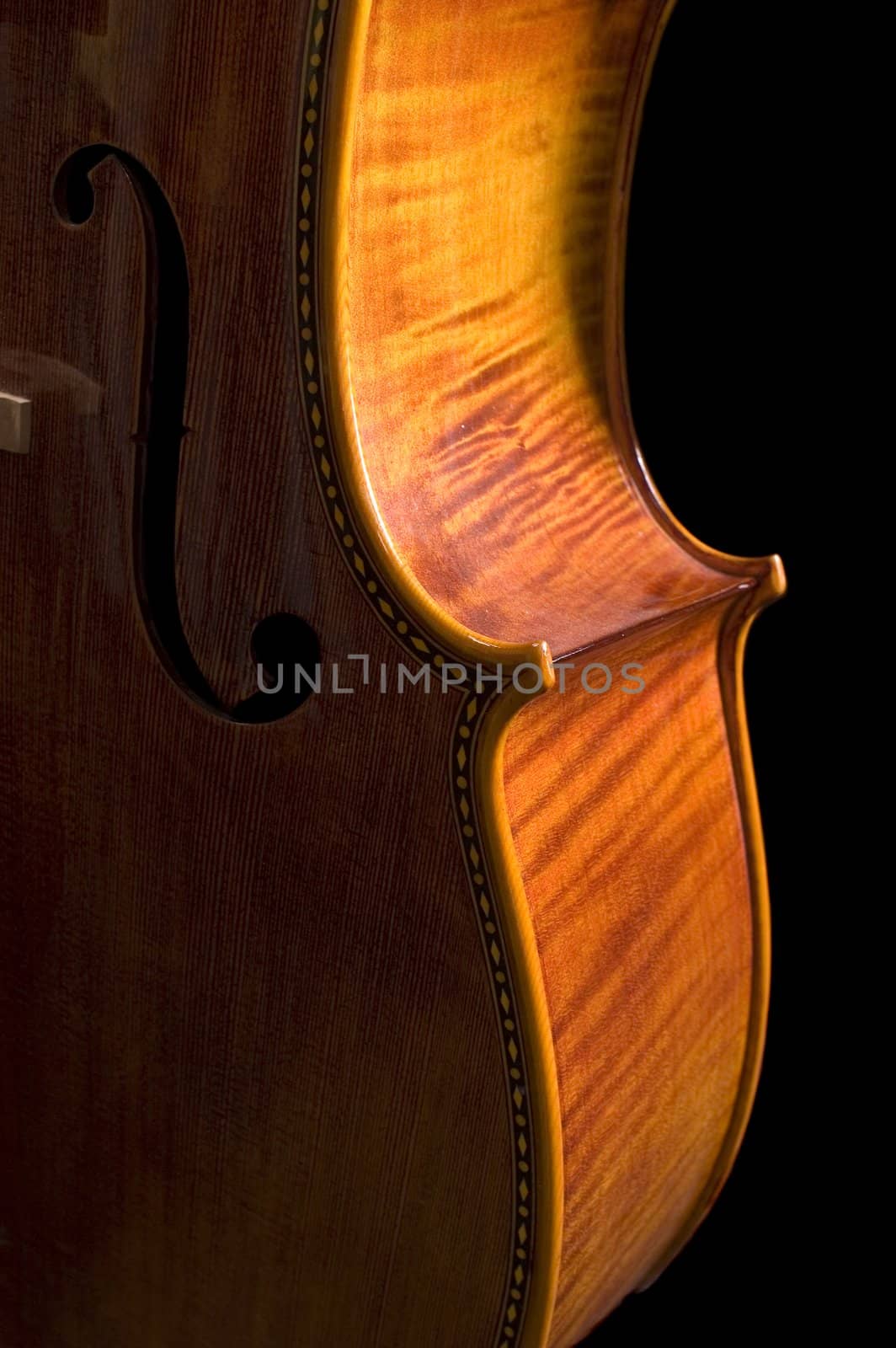 extreme close-up of cello on a black background showing the skill used in the selection of fine woods and the craftsmanship of contruction