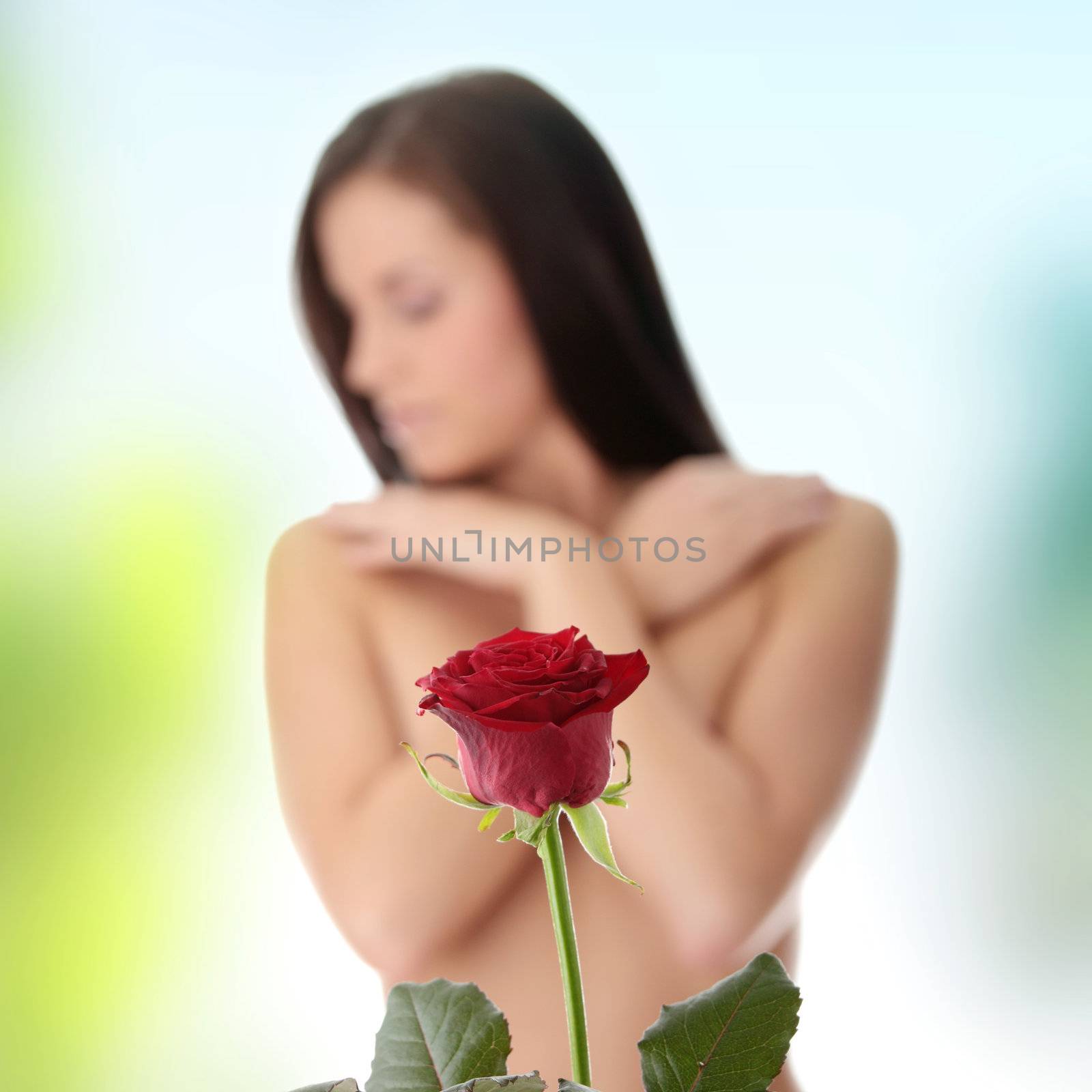 Red rose by BDS