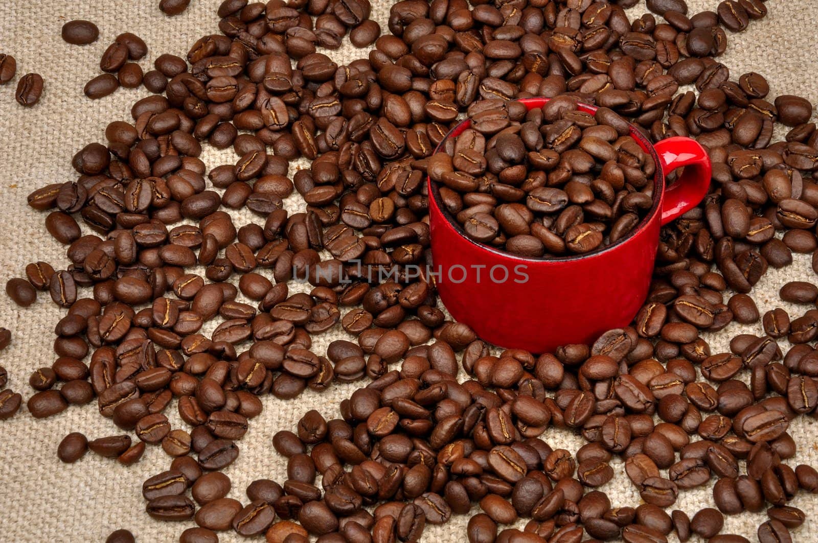 coffee in a cup