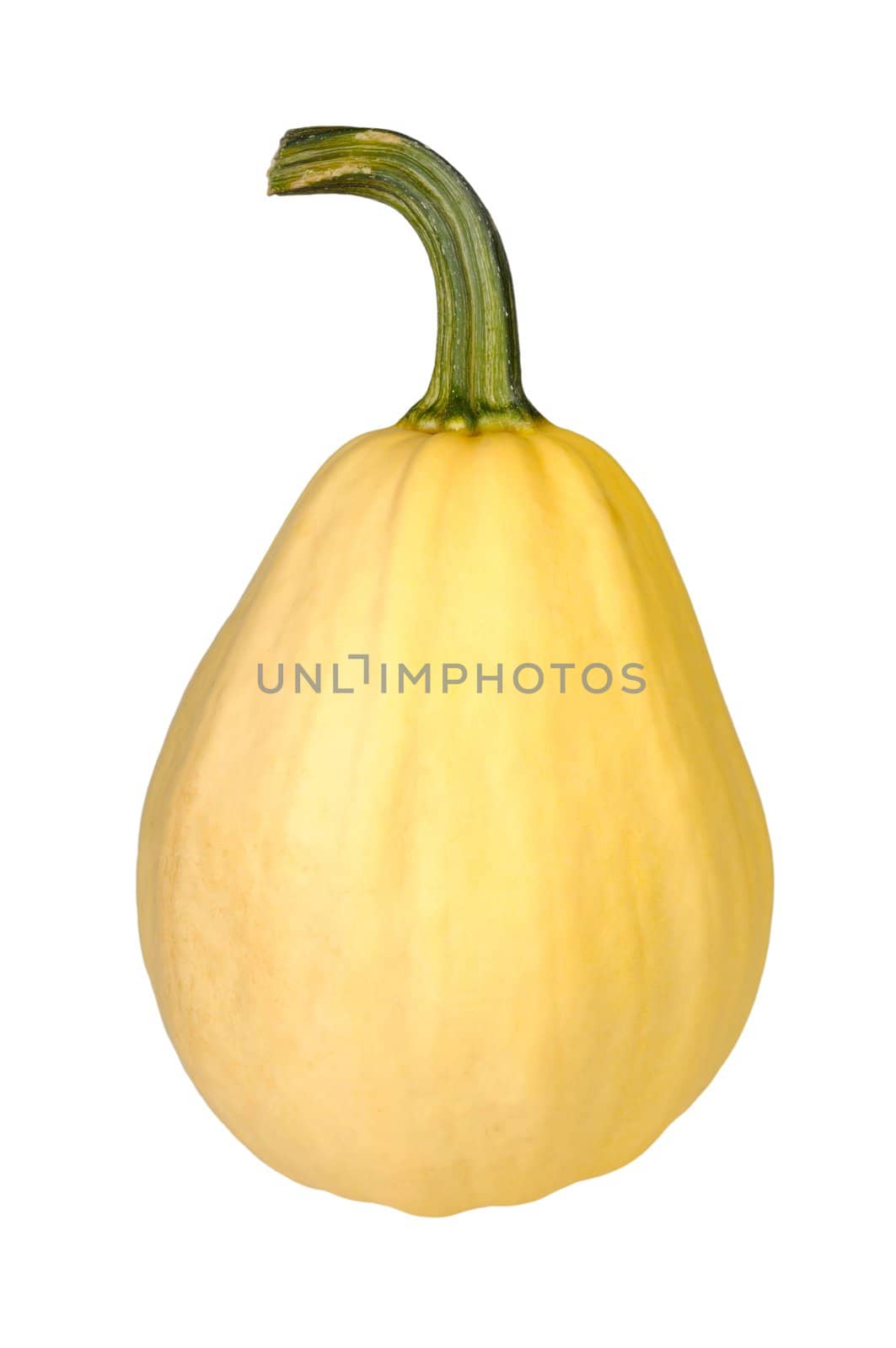 pale yellow pumpkin isolated on white background