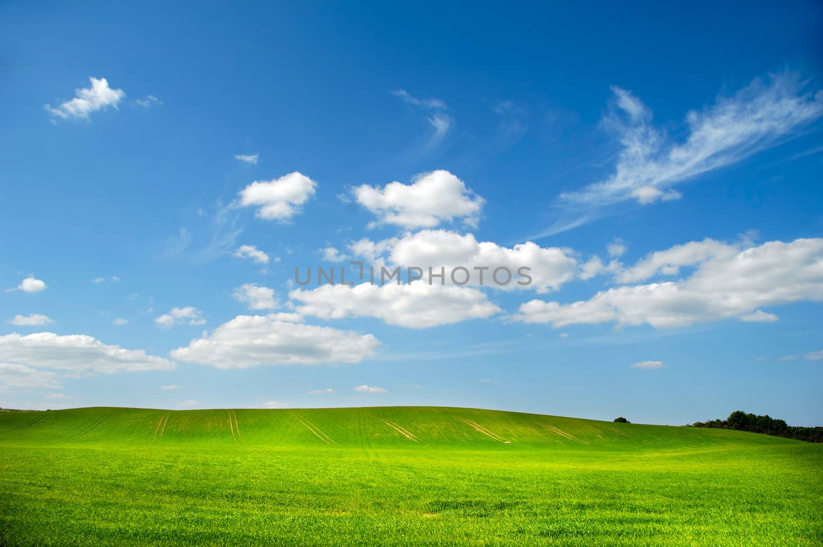 Landscape with green field and blue and cloudy sky.