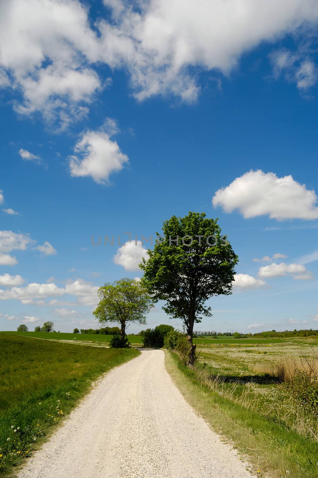 A pathway and nature withe green fields. Blue and cloudy sky.