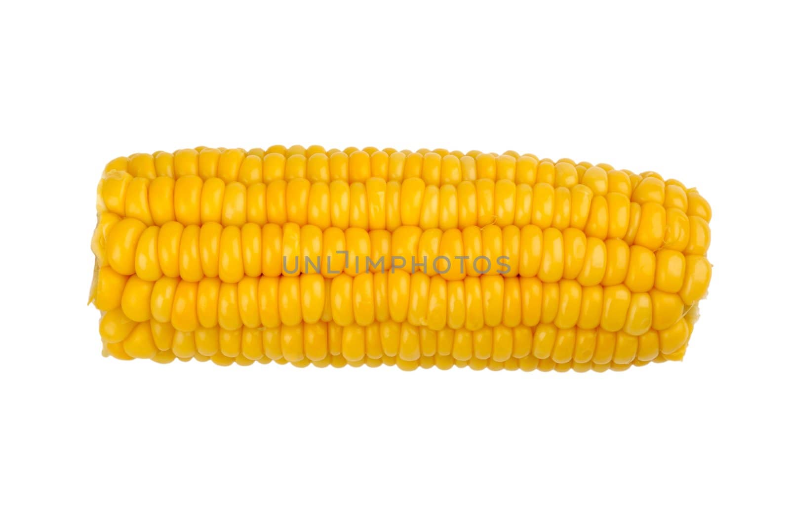 yellow corn on the cob on a white background