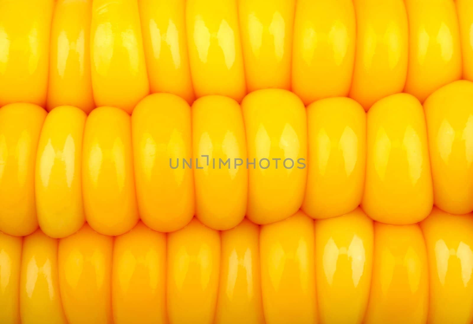 background of yellow corn grains, close-up