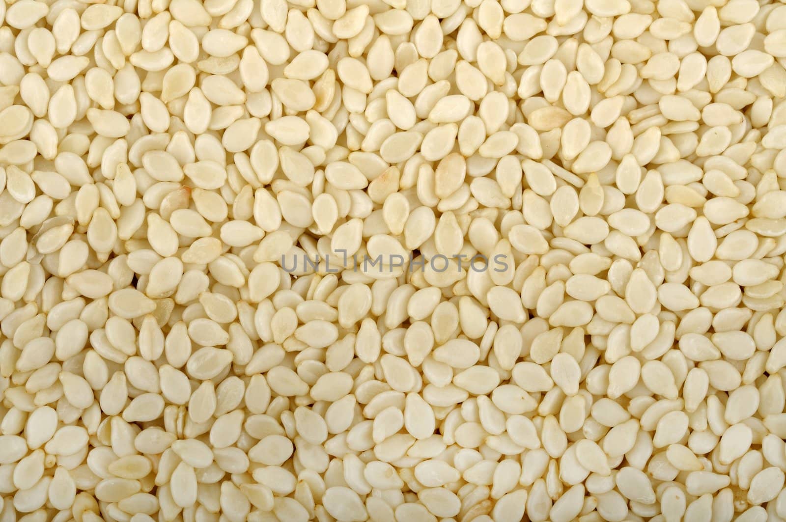 background from the raw white sesame seeds, close-up