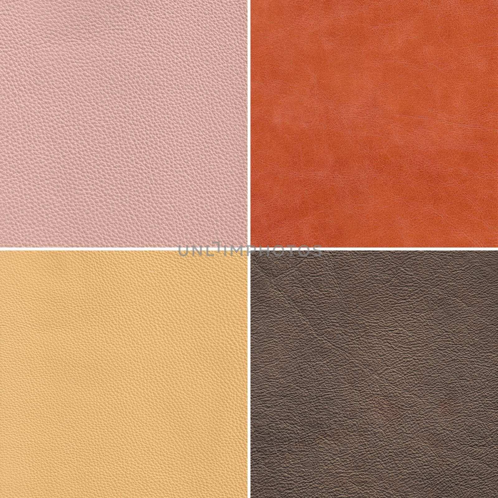 square samples of genuine leather, high resolution