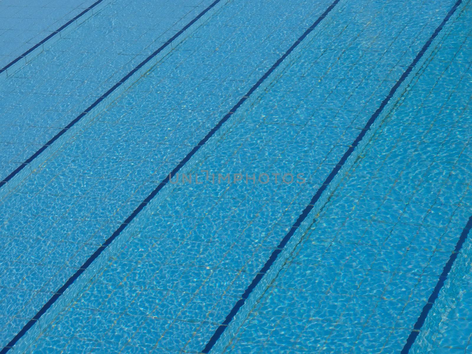 the  bottom of the pool and tiles