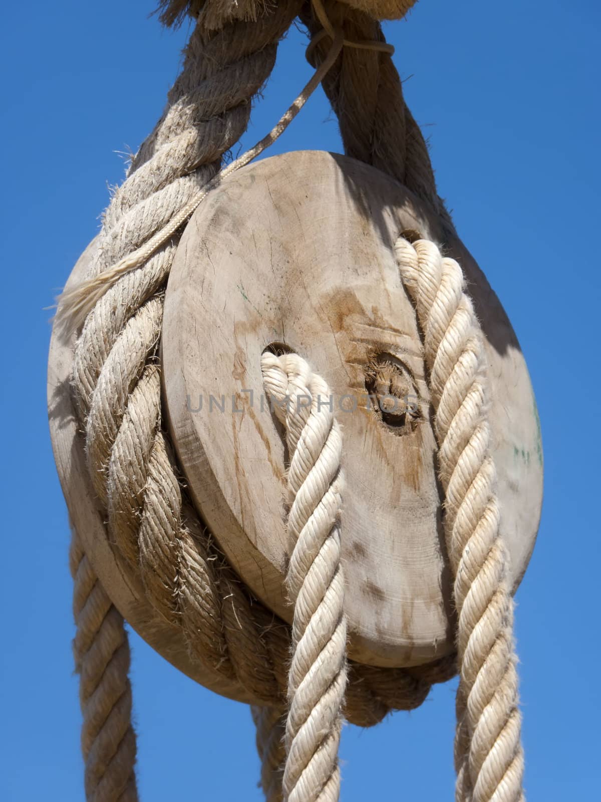 the pulley and the  rope