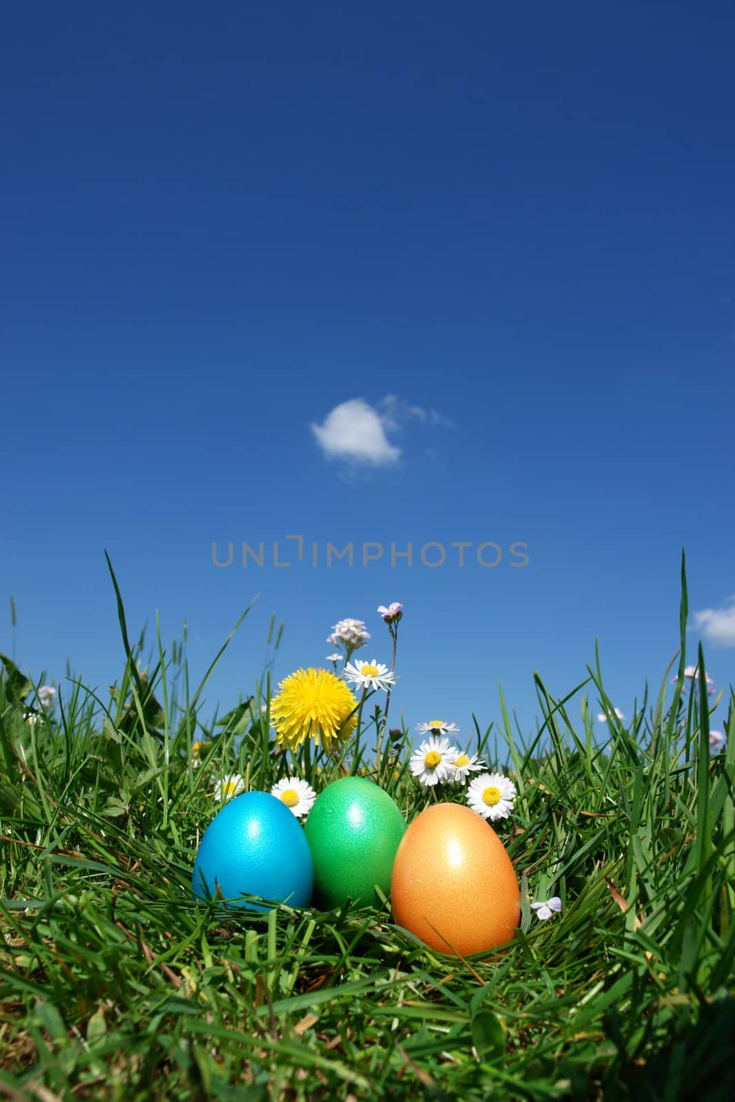 colorful Easter egg in the fresh  spring meadow