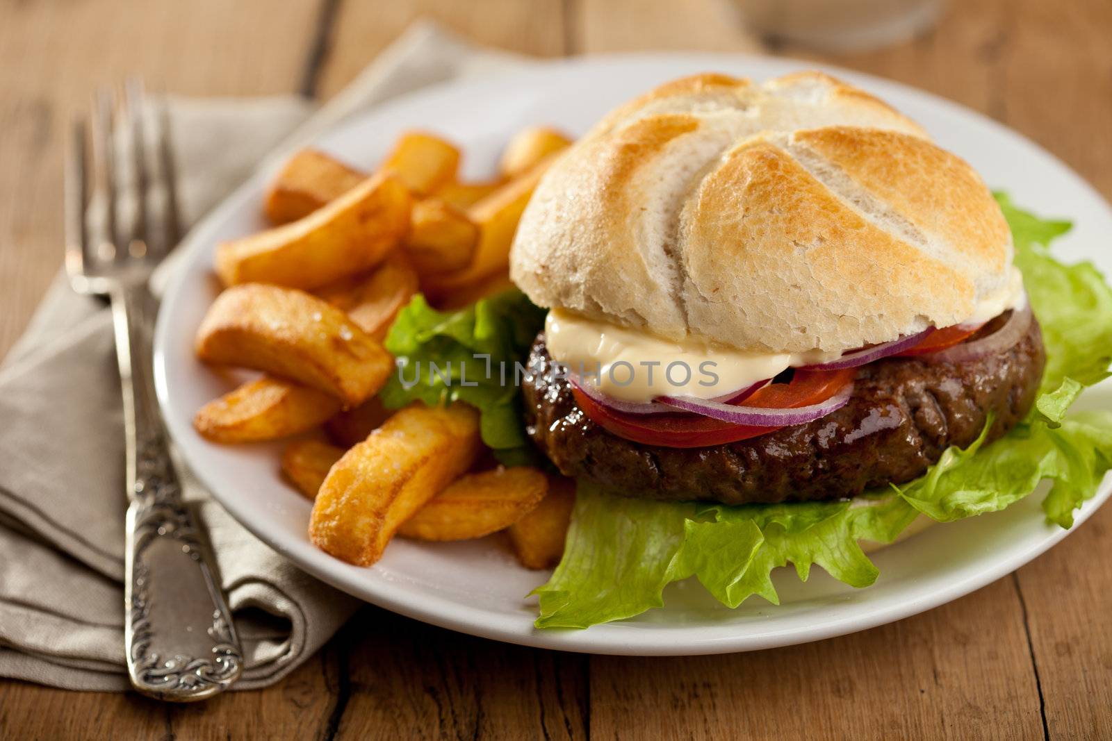 Hamburger with fries by Fotosmurf