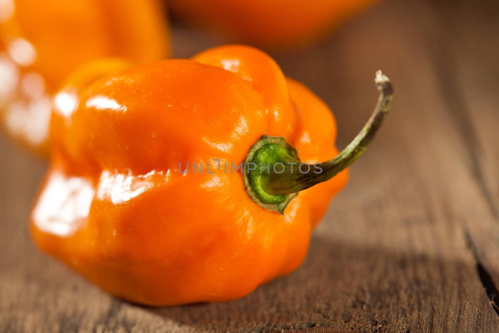 Chili pepper by Fotosmurf