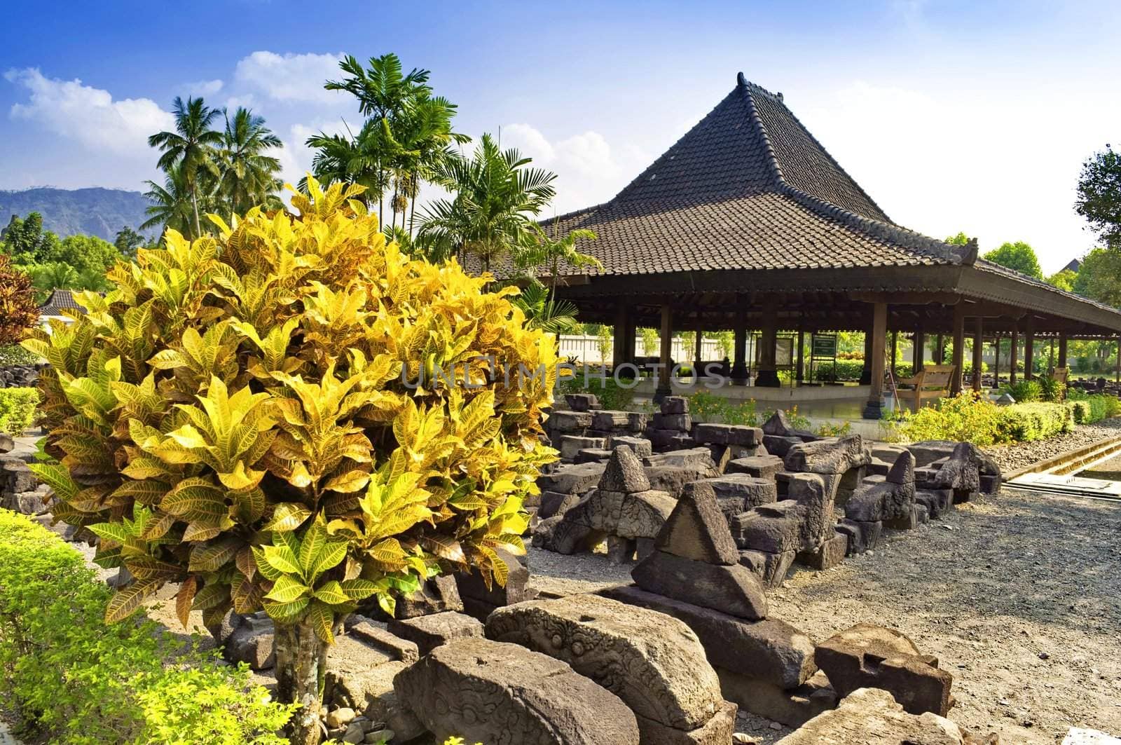 Outdoor garden in Prambana temple site, Indonesia