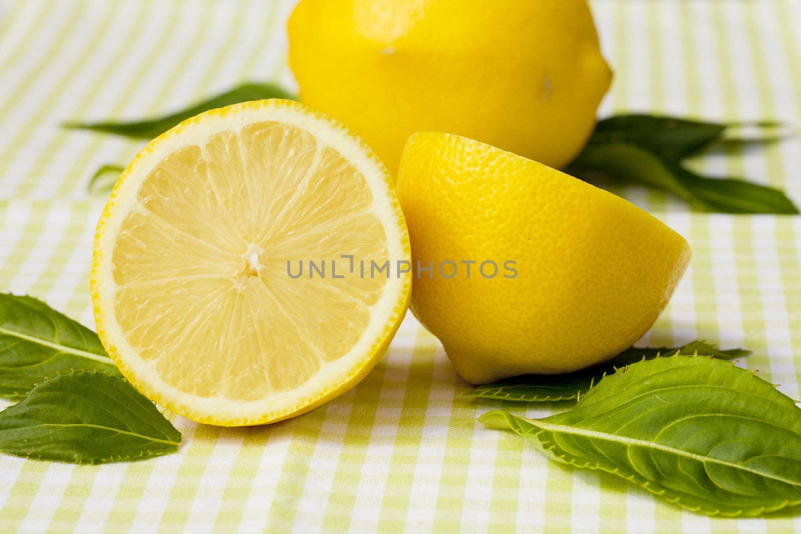 Lemon by Bestpictures