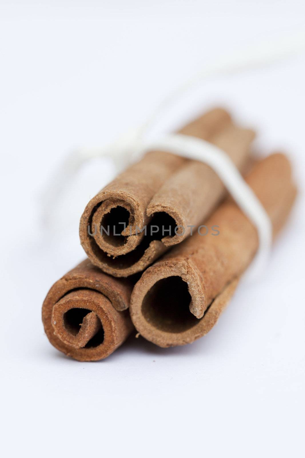 Three cinnamon spice Sticks by Bestpictures