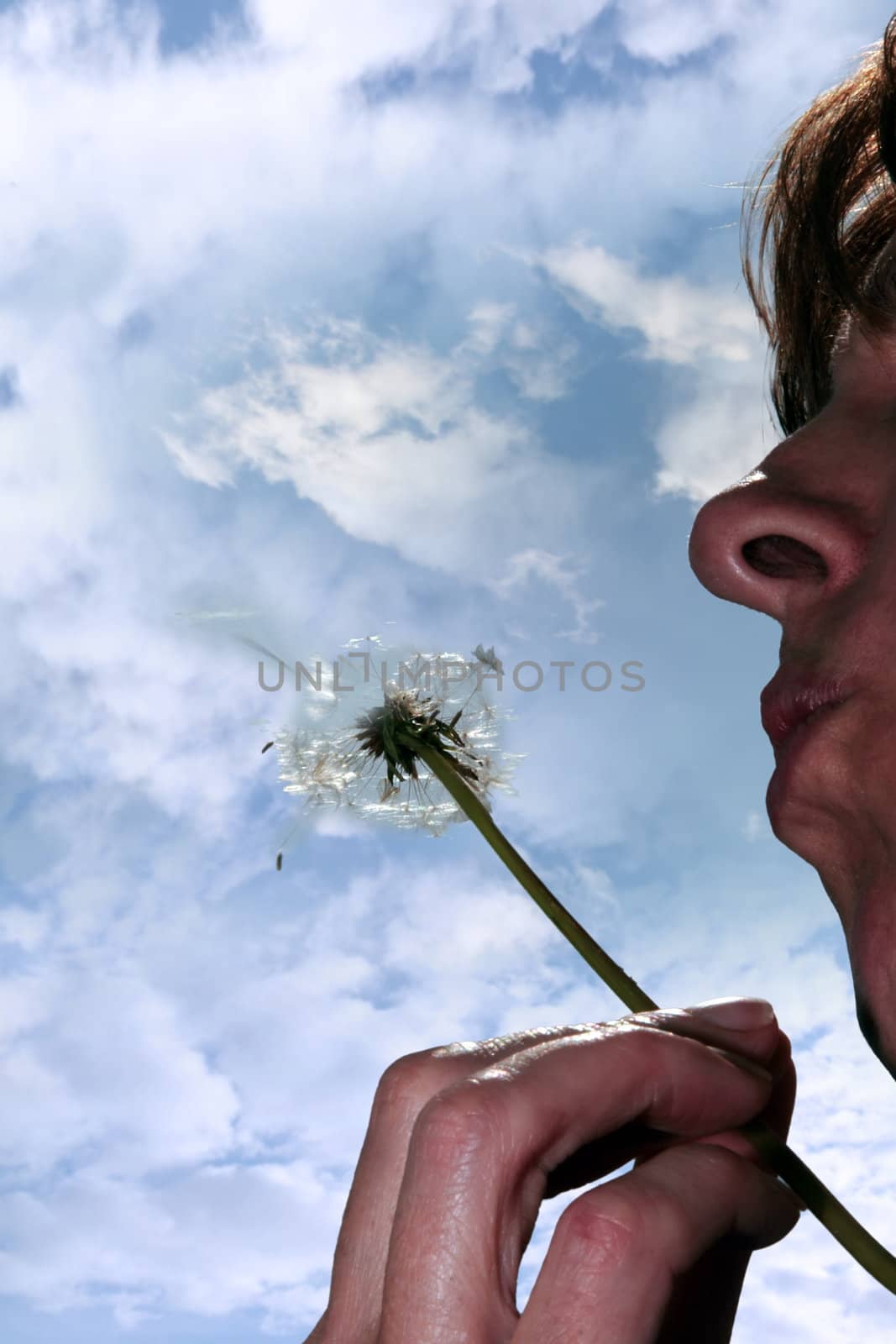 dandelion being blown by woman by morrbyte