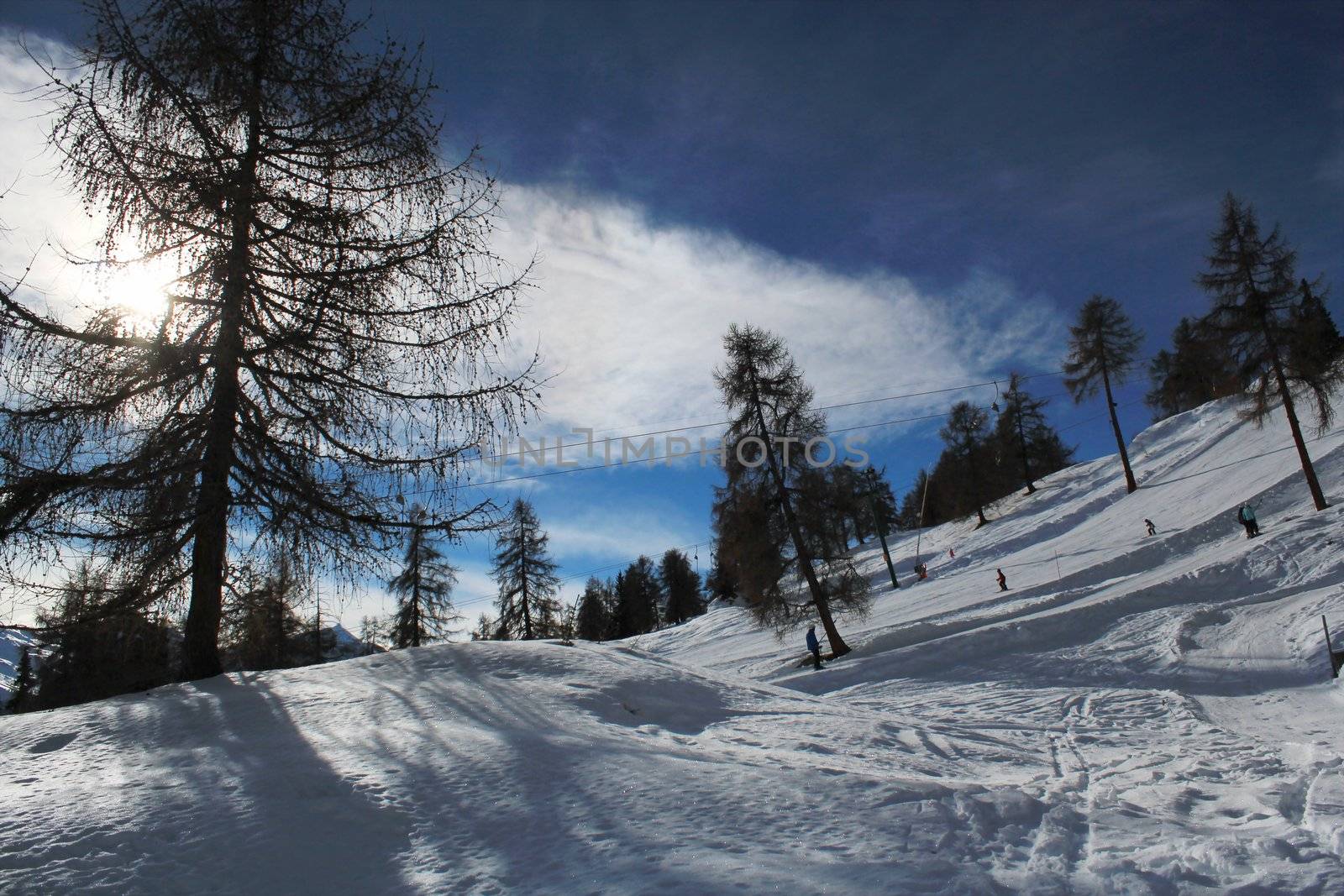 Winter snowy landscape in the Alps with fir trees and their shadows by beautiful weather, Switzerland