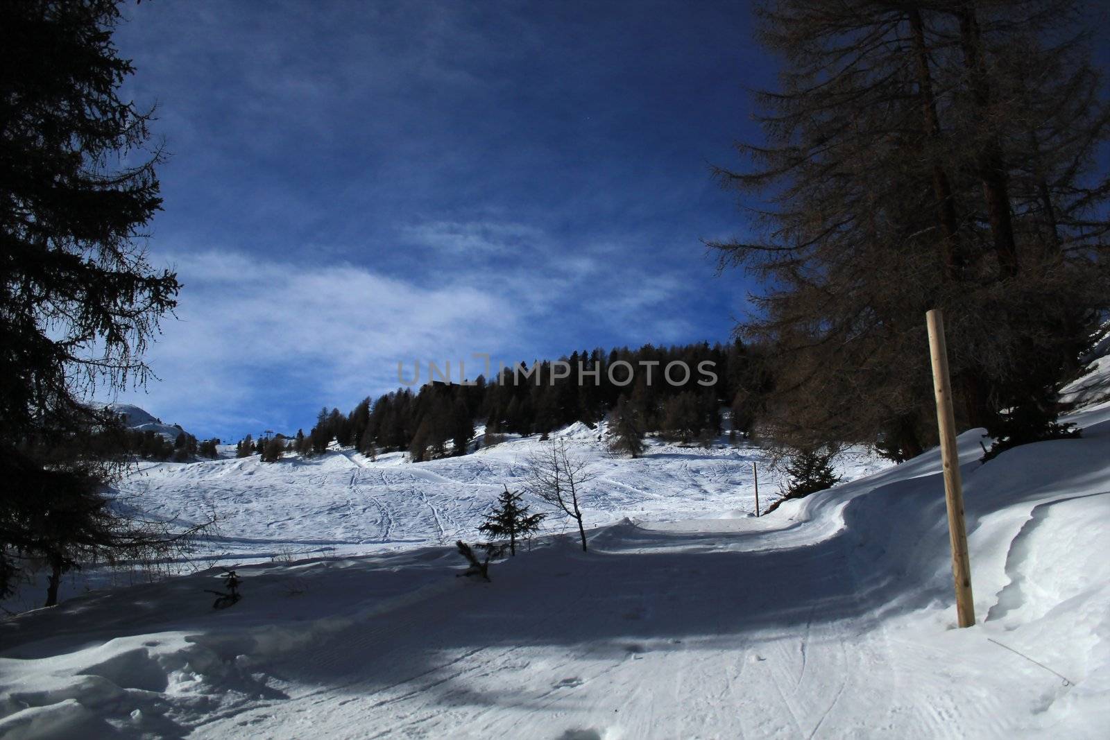 Winter snowy landscape in the Alps with fir trees by beautiful weather, Switzerland