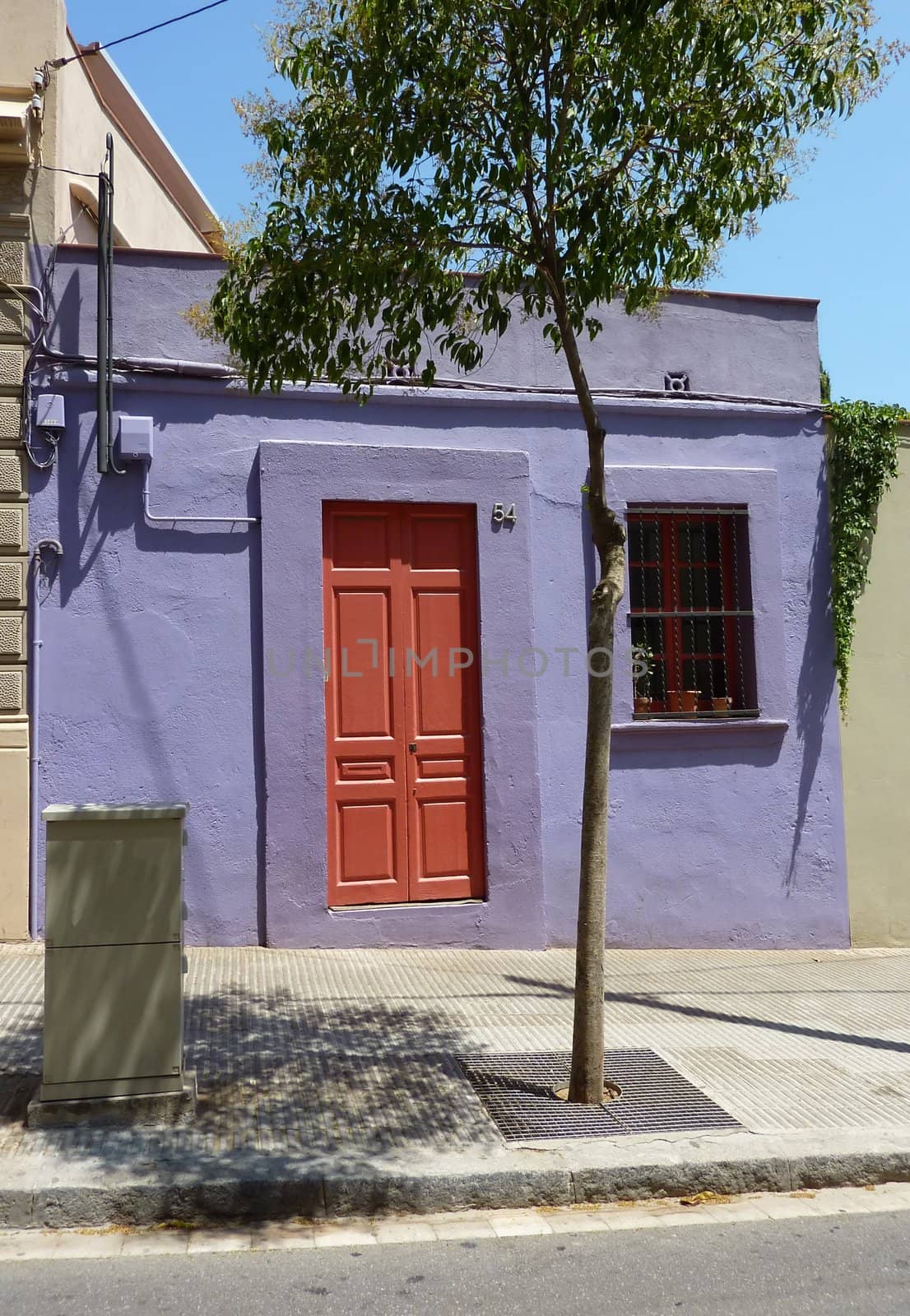 Red door made of wood in a violet wall and in front of a trunk