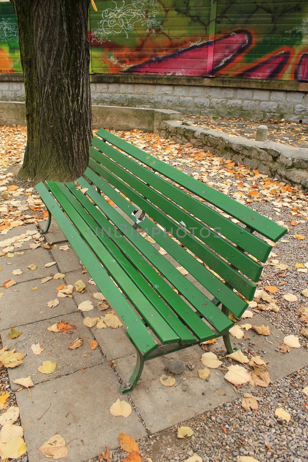 Wood bench in autumn by Elenaphotos21