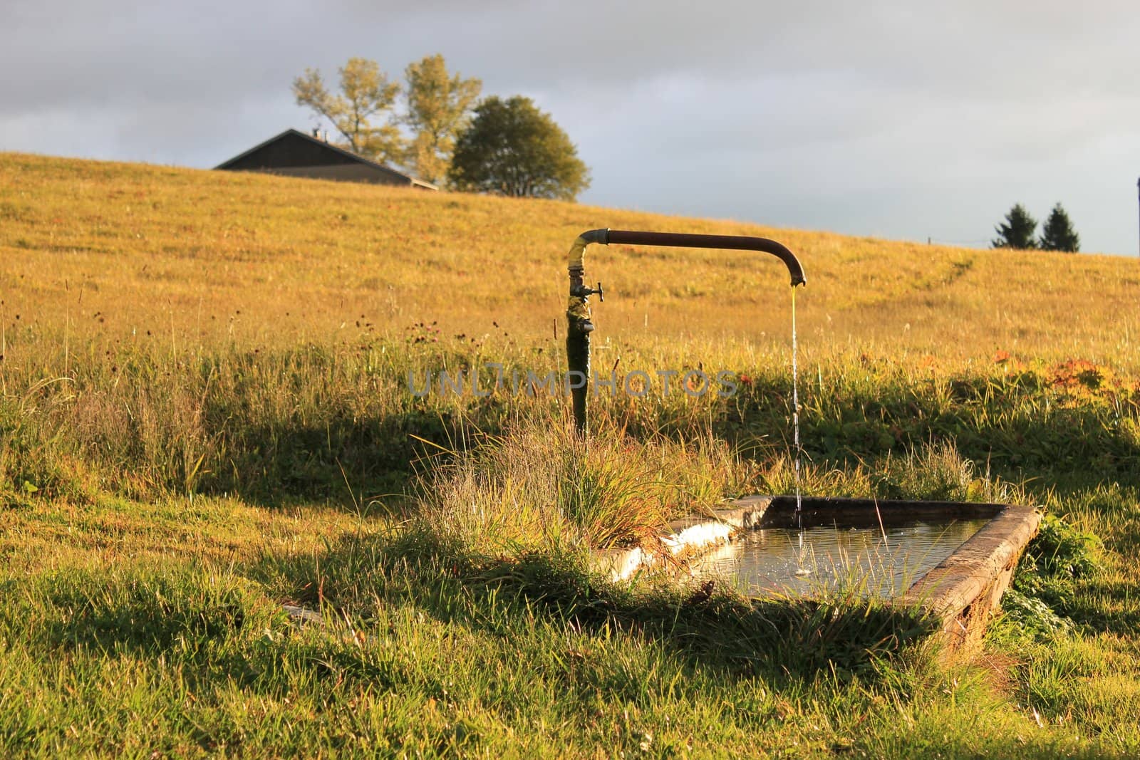 Rustic fountain next to a yellow field in the country by sunset