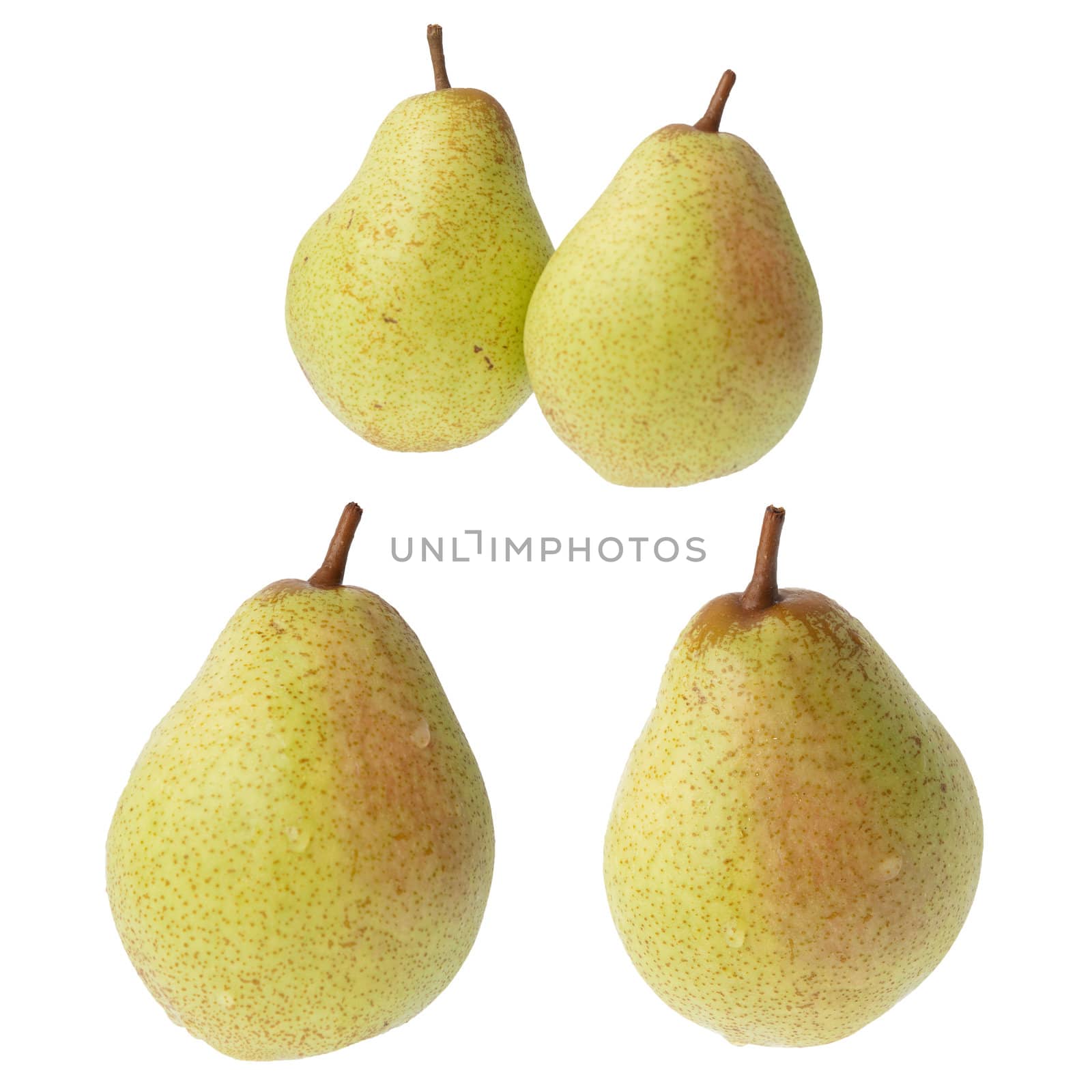 Pears isolated on a white background.