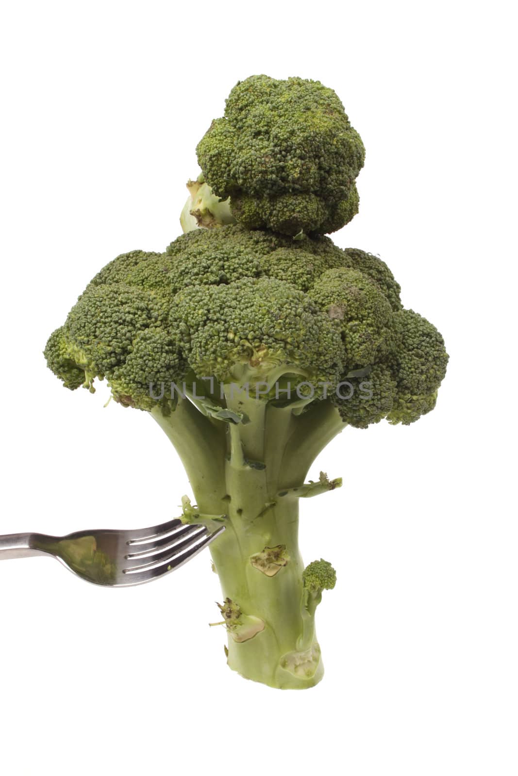 broccoli on a fork  by joophoek