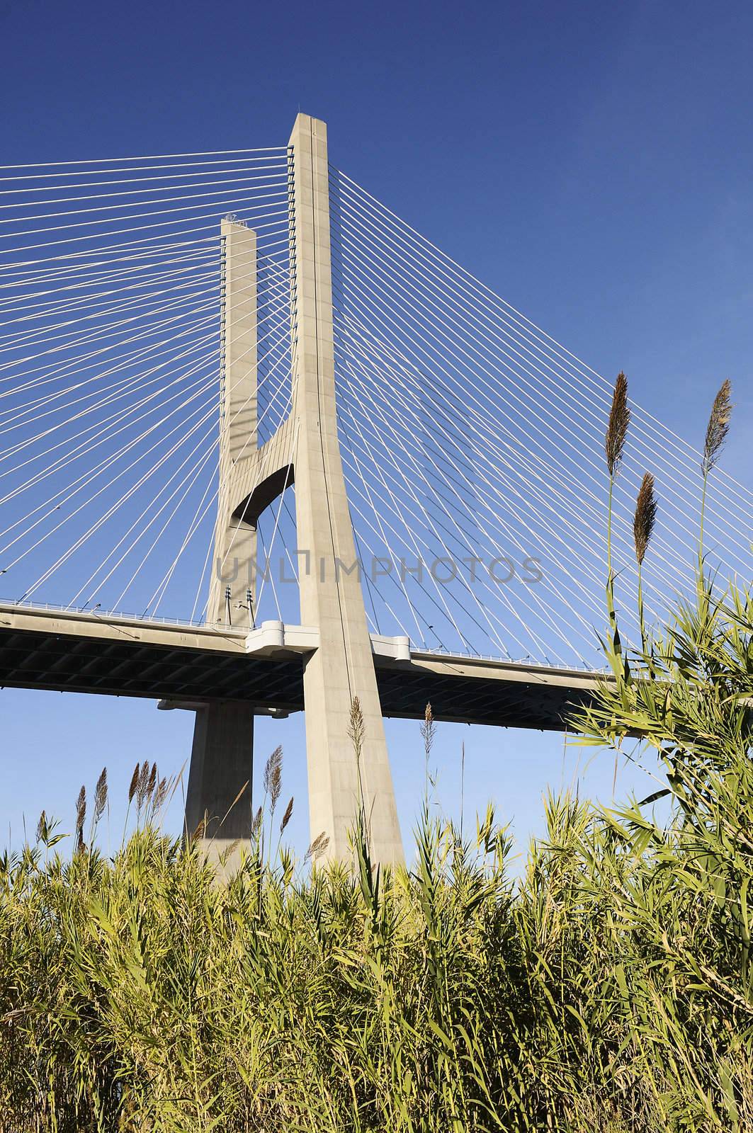 Vasco da Gama bridge is the largest in Europe over the Tagus river
