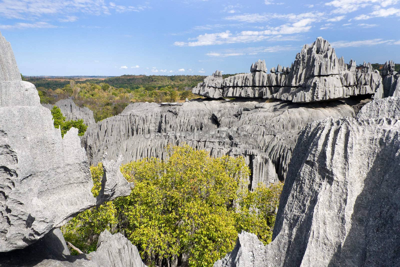 Tsingy de Bemaraha, National Park in Madagascar, Unesco World Heritage