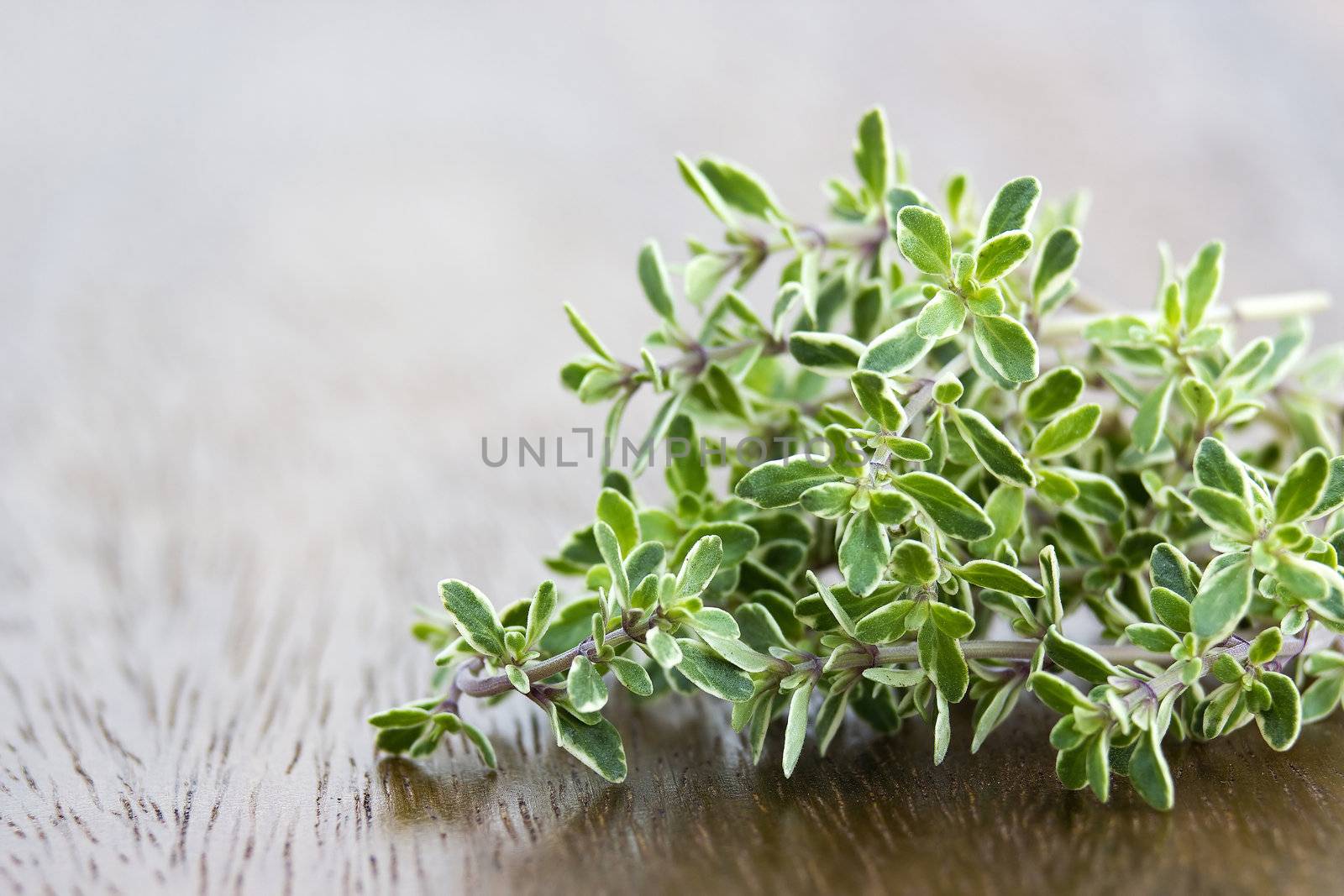 fresh thyme