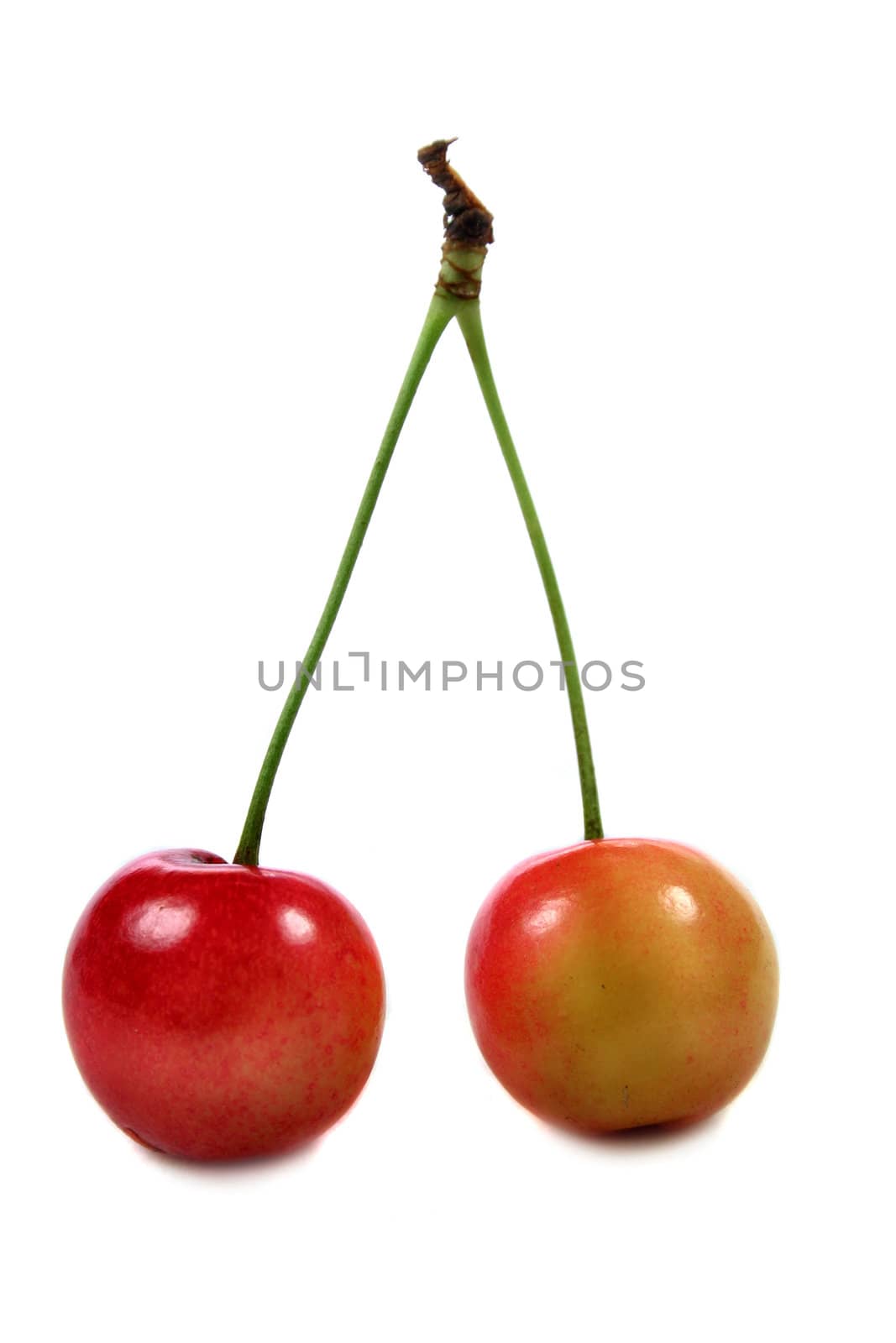 a pair of cherries on a white background