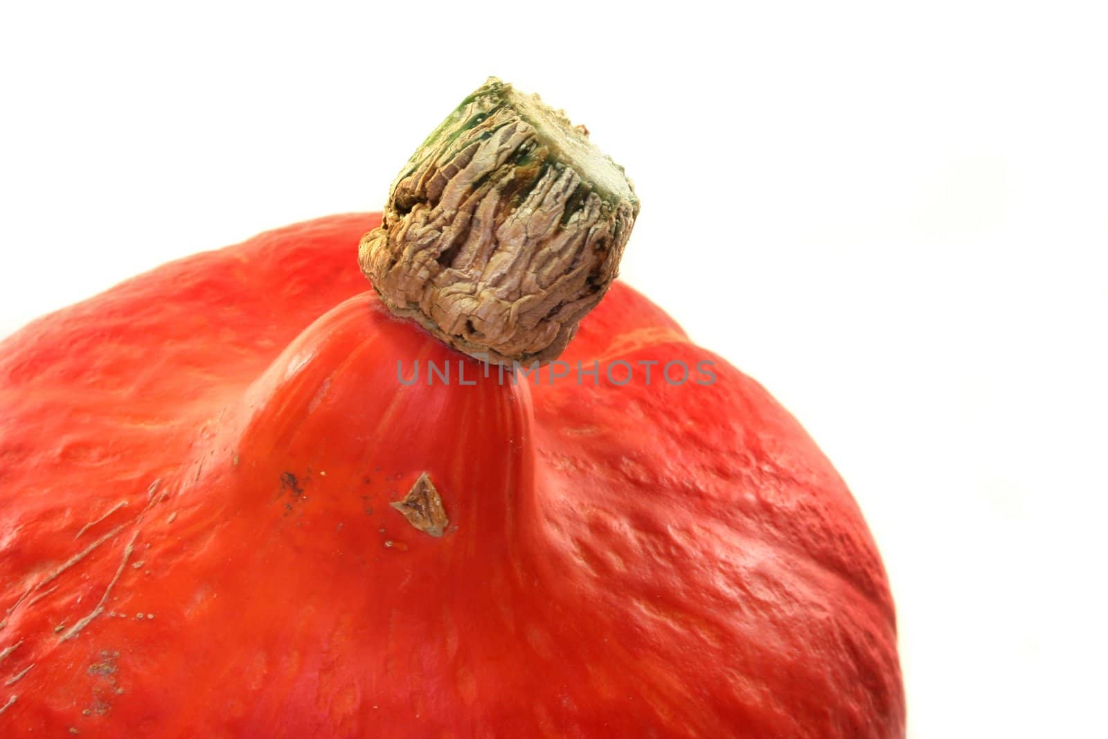 an orange pumpkin on a white background