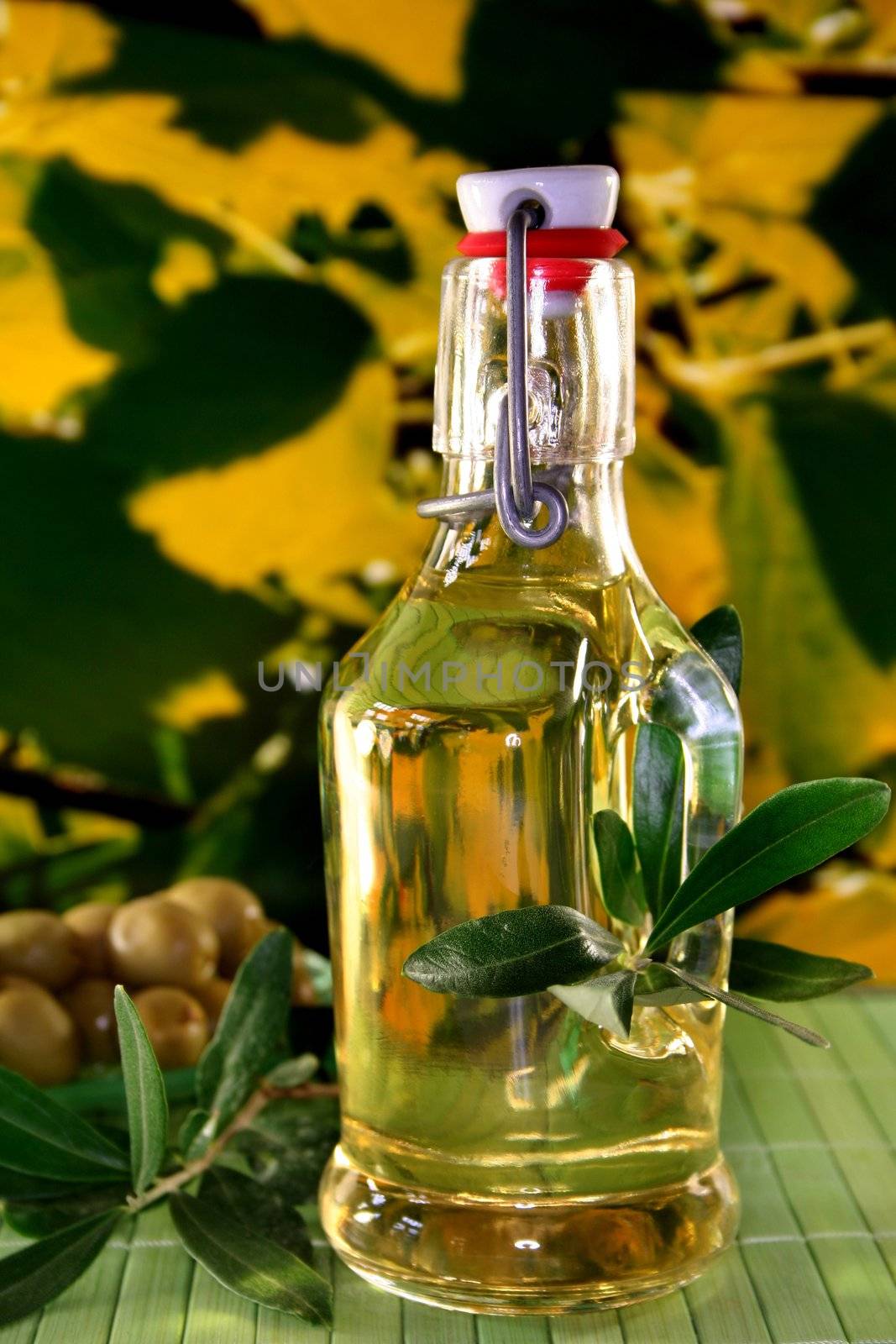 Olive oil with olive branch and fresh ingredients